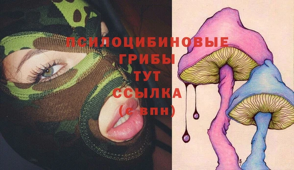 мдпв Дмитровск