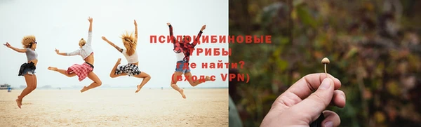 мдпв Дмитровск