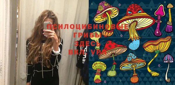 мдпв Дмитровск