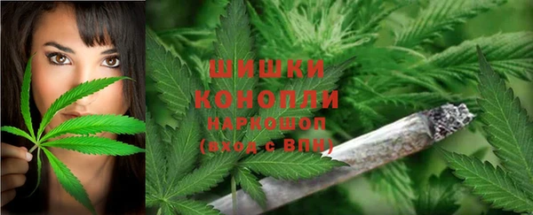 СК Дмитриев