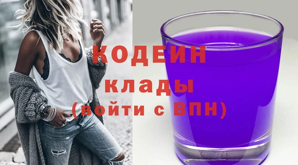 мдпв Дмитровск